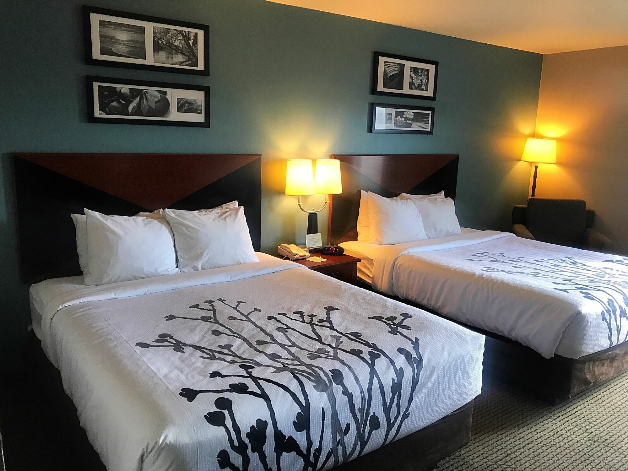Sleep Inn & Suites Rapid City Zewnętrze zdjęcie